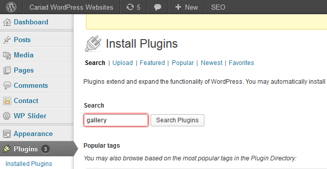 Installing WordPress Plugins