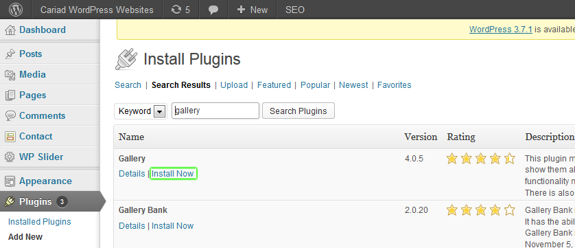 Installing WordPress Plugins