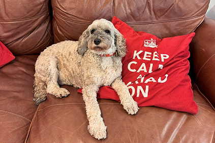 cariad-marketing-team-gallery